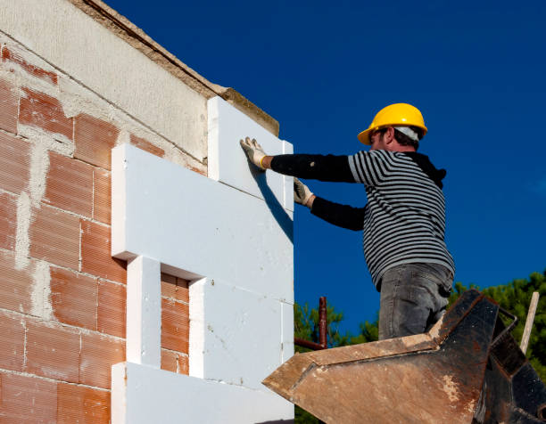 Best Insulation for New Construction  in Swift Trail Junction, AZ