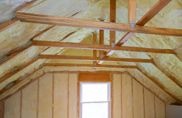Best Spray Foam Insulation  in Swift Trail Junction, AZ