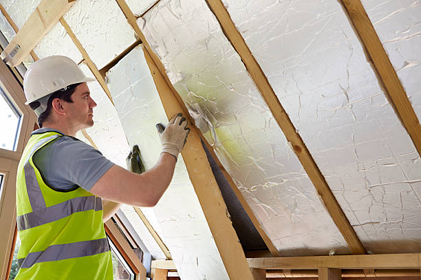 Best Home Insulation Services  in Swift Trail Junction, AZ